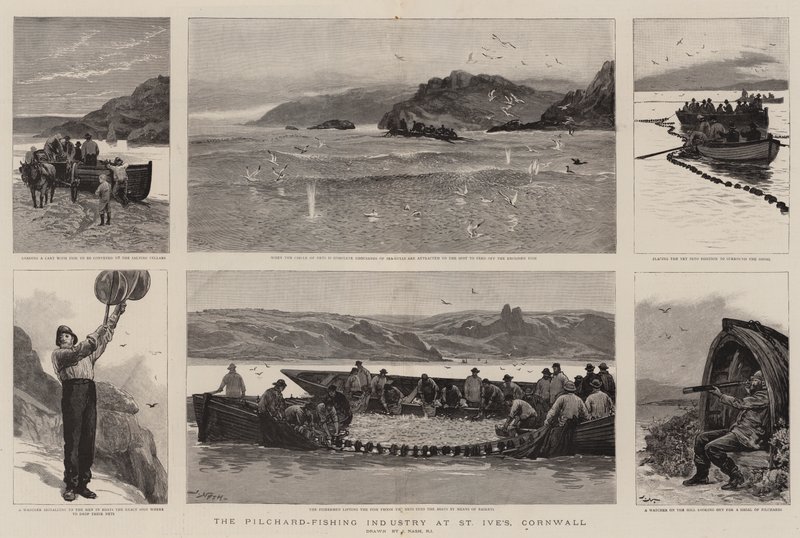 A indústria de pesca de pomares em St Ive, Cornwall de Joseph Nash