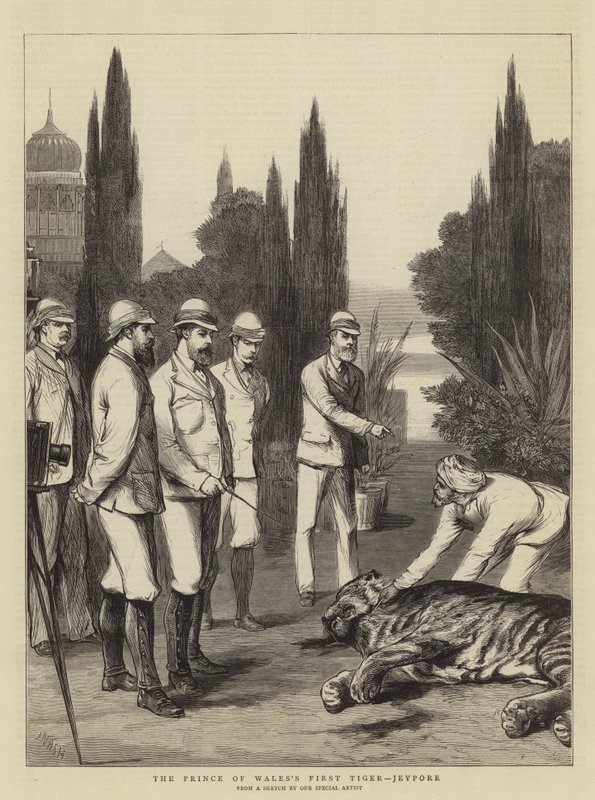 O Primeiro Tigre do Príncipe de Gales, Jeypore de Joseph Nash