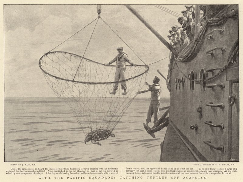 Com o Esquadrão do Pacífico, pegando tartarugas em Acapulco de Joseph Nash