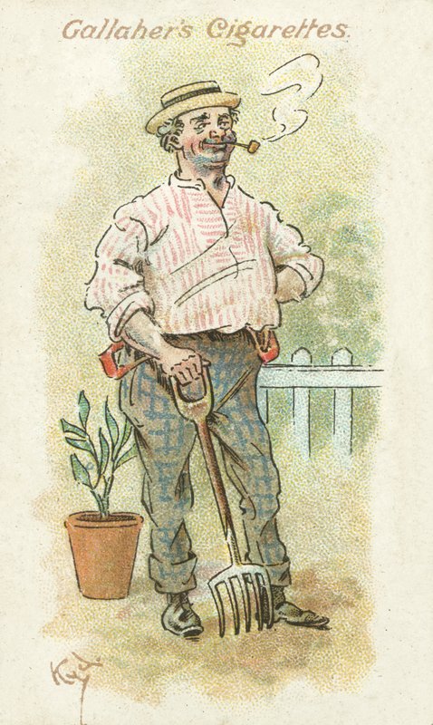 Votos da Erva Daninha nº 22 (litografia a cores) de Joseph Clayton (1856 1937) Clarke
