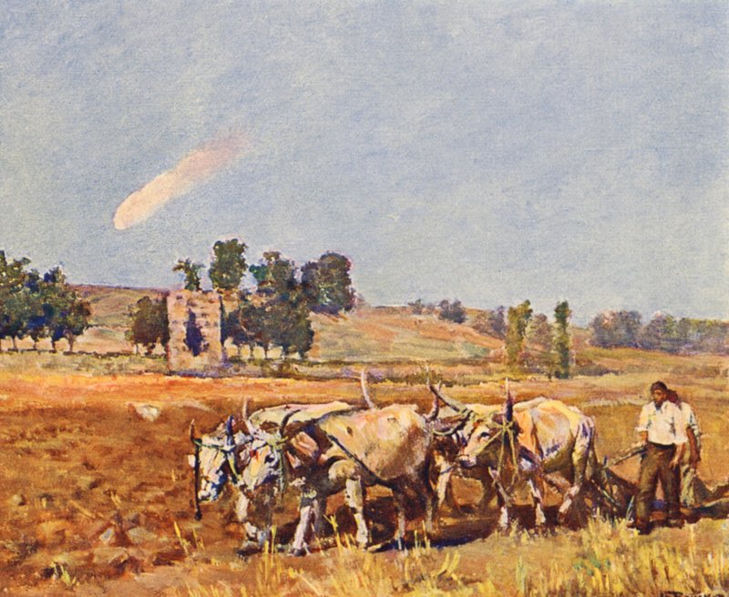 Roma: O campo romano, bois a lavrar (litografia a cores) de Joseph Felix Bouchor