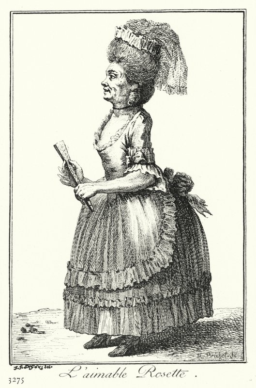 A Lovely Rosette (gravura) de Joseph Franz von (after) Goez
