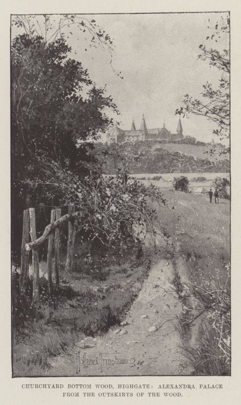Churchyard Bottom Wood, Highgate, Alexandra Palace dos arredores da floresta de Joseph Holland Tringham