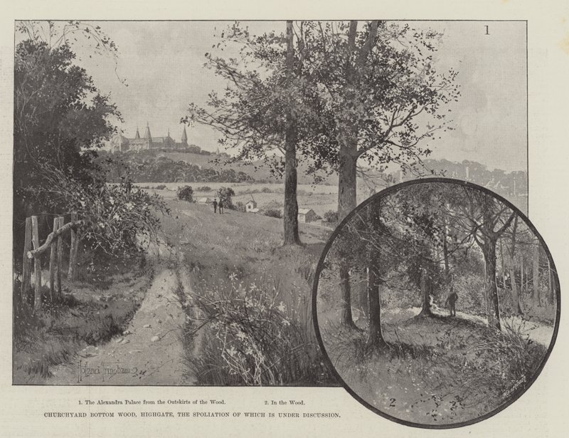 Churchyard Bottom Wood, Highgate, cuja espoliação está em discussão de Joseph Holland Tringham
