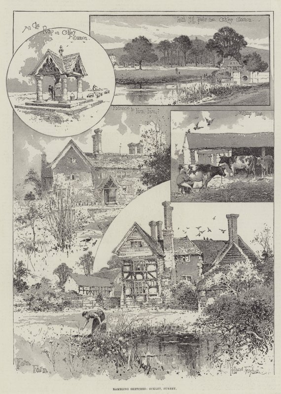 Esboços Rambling, Ockley, Surrey de Joseph Holland Tringham