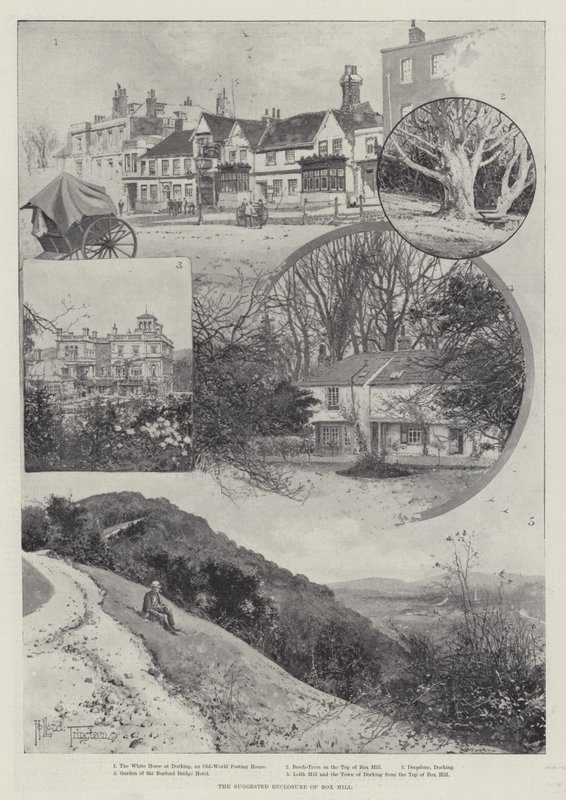 O recinto sugerido de Box Hill de Joseph Holland Tringham