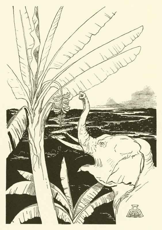 O Filhote do Elefante vai puxar bananas (gravura) de Joseph Rudyard (after) Kipling