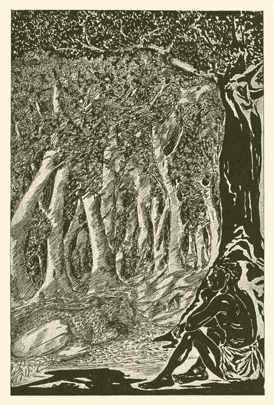 O Leopardo e o Ehiopian (gravura) de Joseph Rudyard (after) Kipling