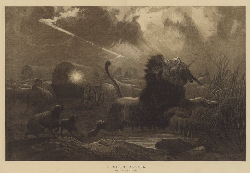 Um ataque noturno de Joseph Wolf