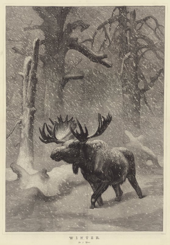 Inverno de Joseph Wolf