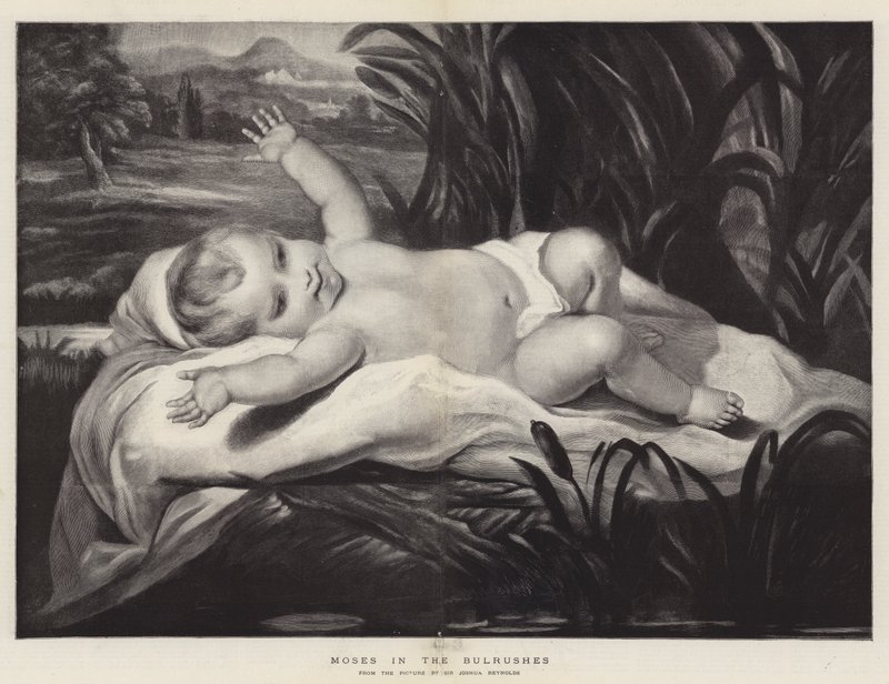 Moisés nos juncos de Joshua Reynolds