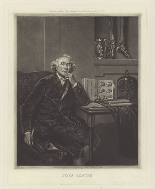 John Hunter, cirurgião escocês de Joshua Reynolds
