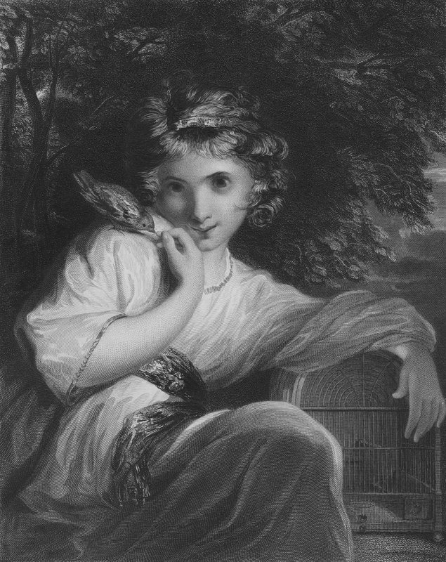 torneira de Joshua Reynolds