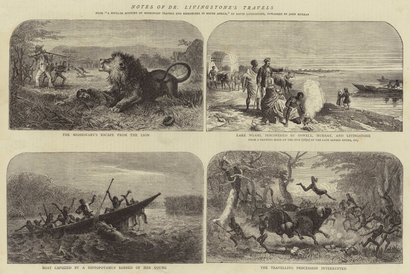 Notas das viagens do Dr. Livingstone de Josiah Wood Whymper