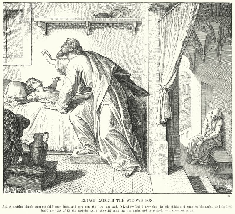 Elijah Raiseth the Widow