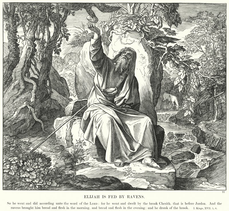 Elijah é alimentado por Ravens (gravura) de Julius (after) Schnorr von Carolsfeld