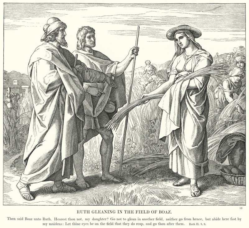 Ruth Gleaning in the Field of Boaz (gravura) de Julius (after) Schnorr von Carolsfeld