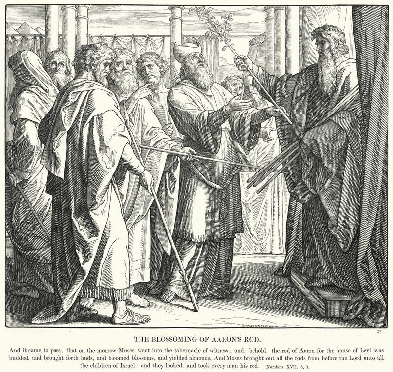 O Desabrochar da Vara de Aaron (gravura) de Julius (after) Schnorr von Carolsfeld