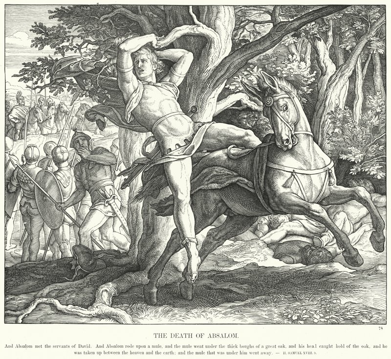 A Morte de Absalom (gravura) de Julius (after) Schnorr von Carolsfeld