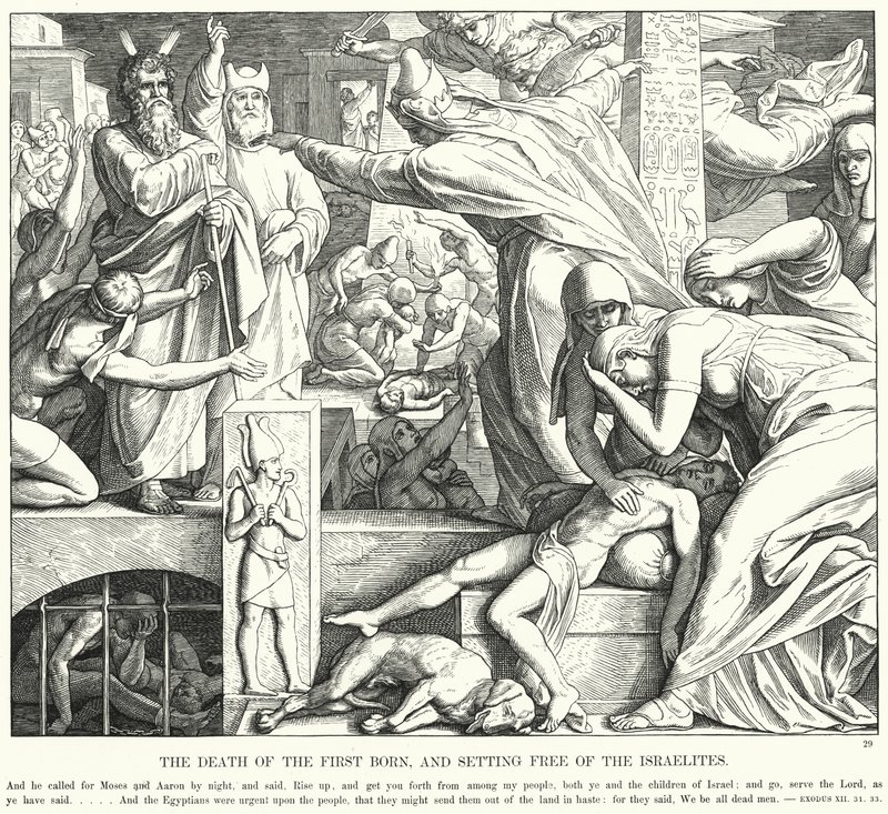 A Morte do Primogênito e a Libertação dos Israelitas (gravação) de Julius (after) Schnorr von Carolsfeld