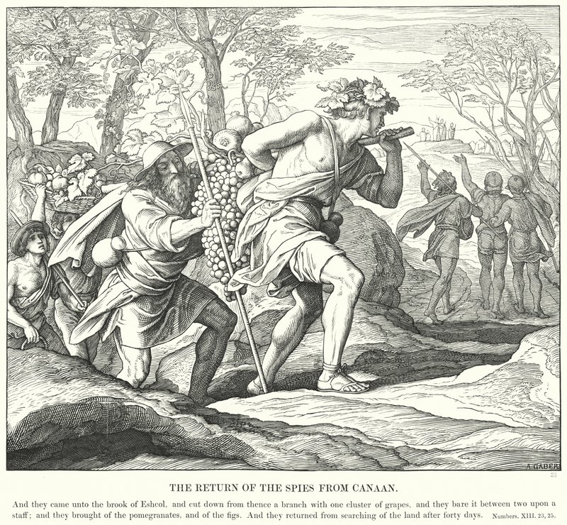 O regresso dos Espiões de Canaã (gravura) de Julius (after) Schnorr von Carolsfeld