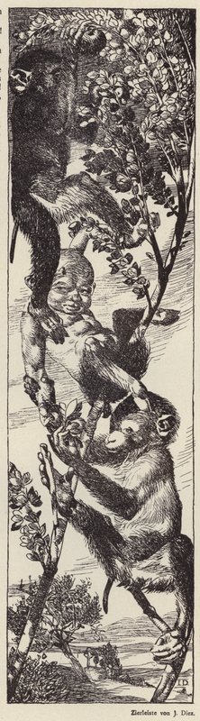 Macacos a apanhar fruta numa árvore (litografia) de Julius Diez