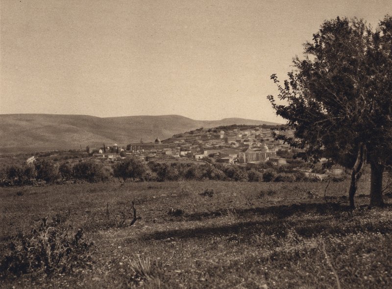 Cana (foto p/b) de Karl Grober