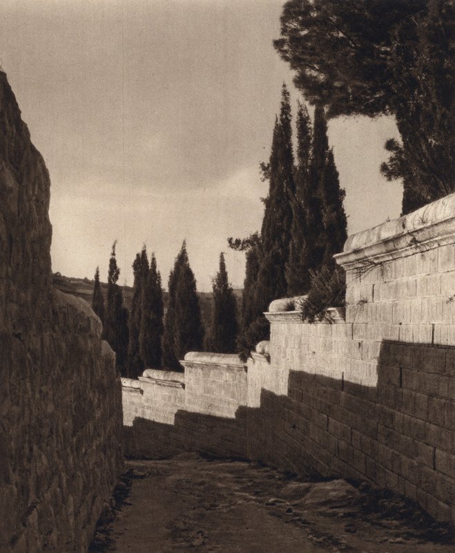 Jerusalém, Jardim do Getsémani (foto a p/b) de Karl Grober