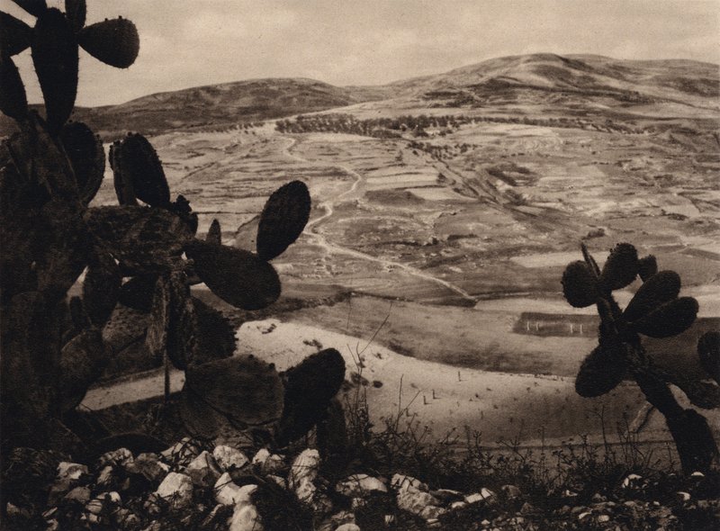 Samaria, o Hipódromo de Herodes (foto a p/b) de Karl Grober
