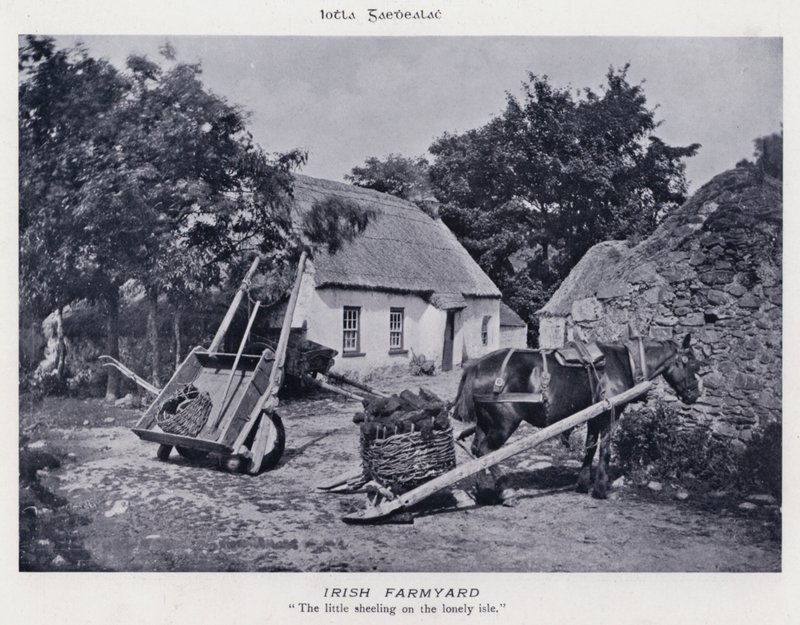 Estaleiro da Fazenda Irlandesa (foto a p/b) de Karl Karlovich Piratsky