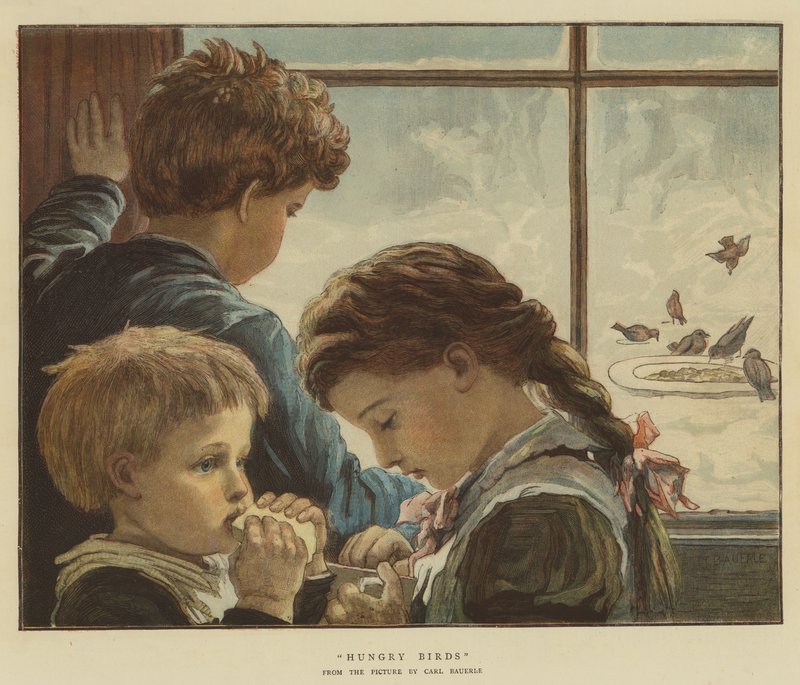 Pássaros da Hungria (cromolito) de Karl Wilhelm Friedrich Bauerle