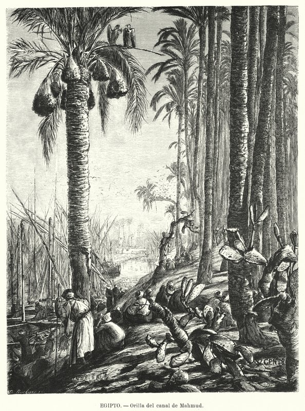 Bancos do Canal de Mahmoudiyah, Egipto (litho) de Karl Wilhelm Gentz