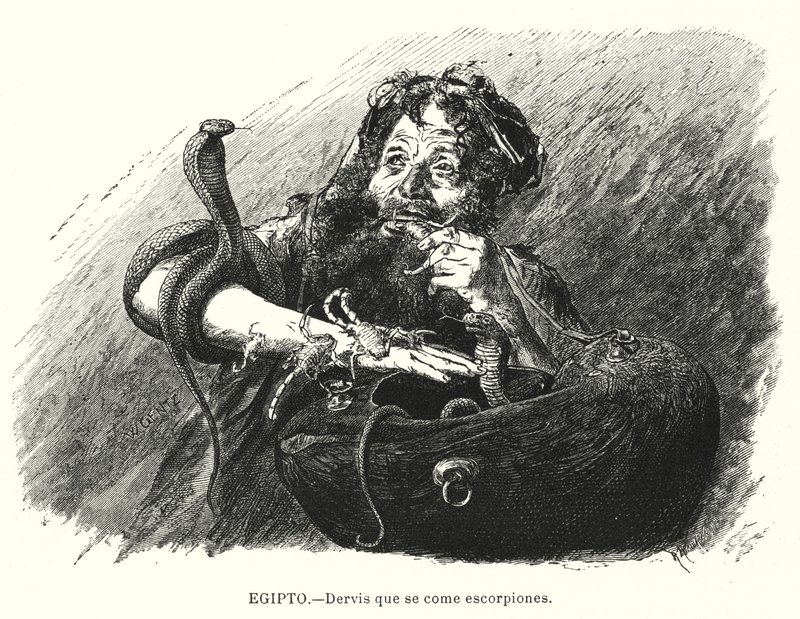 Dervixe que come escorpiões, Egito (litho) de Karl Wilhelm Gentz