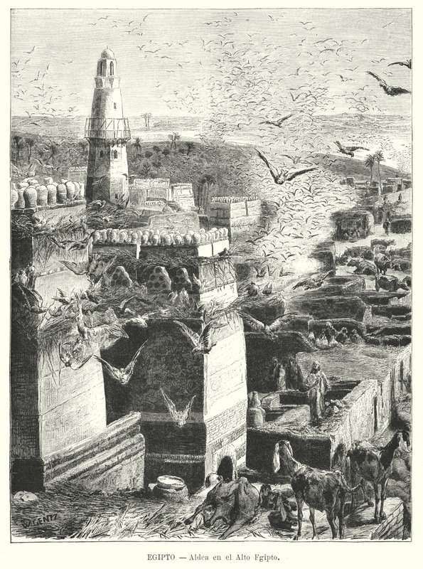 Aldeia no Alto Egipto (litho) de Karl Wilhelm Gentz