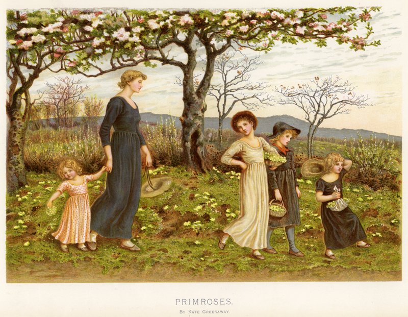 Primroses (cromolitho) de Kate Greenaway