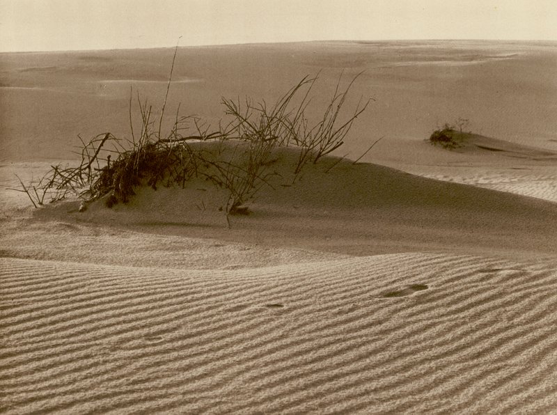 Duna errante no Curonian Spit ao norte de Rossitten; Mudando a duna um o cuspe de areia da Curlândia no norte de Rossitten (foto b/w) de Kurt Hielscher