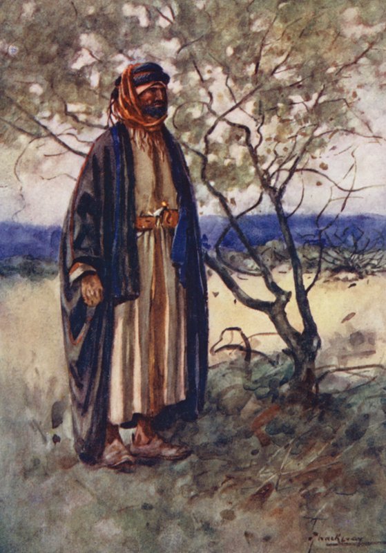 Povos do Egipto: Árabe beduíno, Bedawi (litografia a cores) de Lance Thackeray