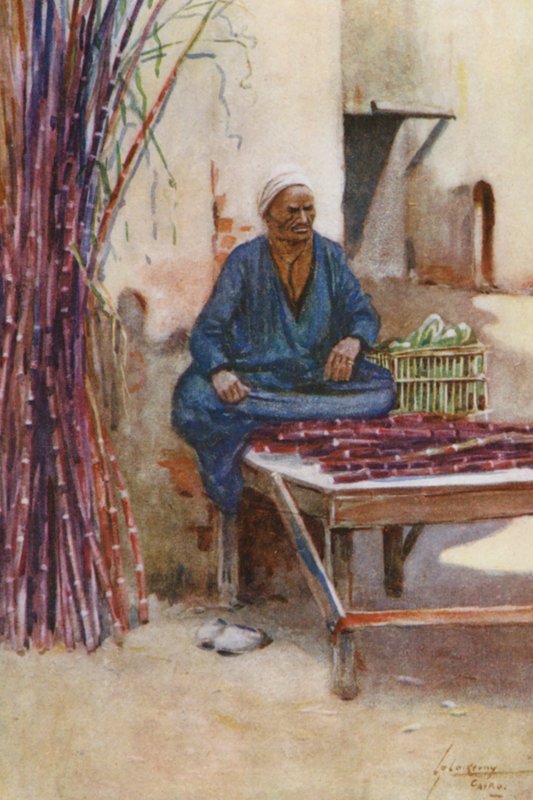 Povo do Egito: Vendedor de cana-de-açúcar, Baia Kasseb (litografia a cores) de Lance Thackeray