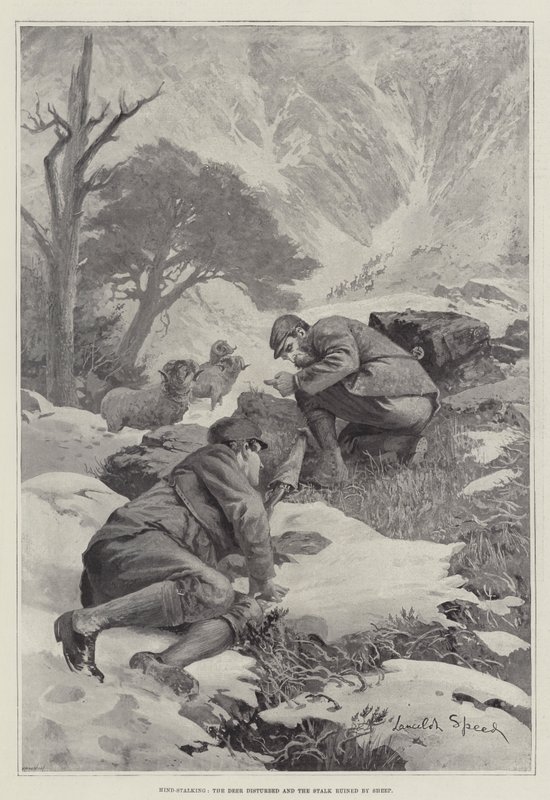 Perseguição ao hind, o cervo perturbado e o caule arruinado por ovelhas de Lancelot Speed
