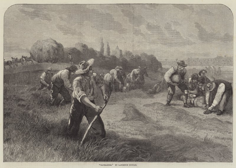 Haymakers de Lawrence Duncan