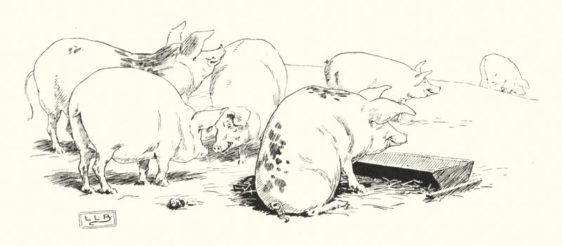 Um porco de cauda longa, ou um porco de cauda curta (gravação) de Leonard Leslie Brooke