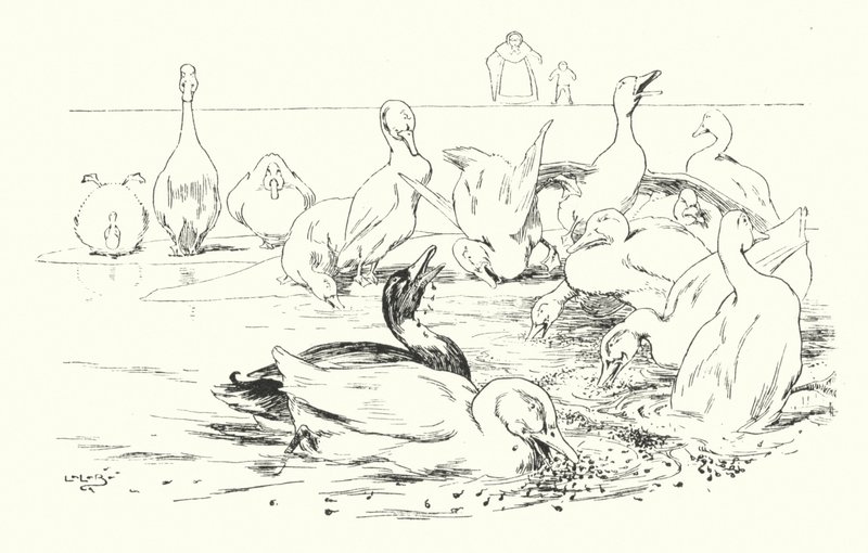 Dame, o que faz seus patos morrerem (gravura) de Leonard Leslie Brooke