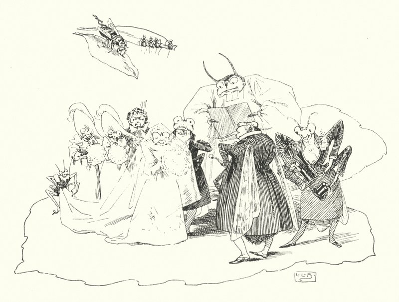 Fiddle-de-dee, fiddle-de-dee (gravura) de Leonard Leslie Brooke