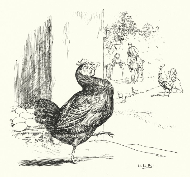 Higgley Piggley, minha galinha preta (gravura) de Leonard Leslie Brooke