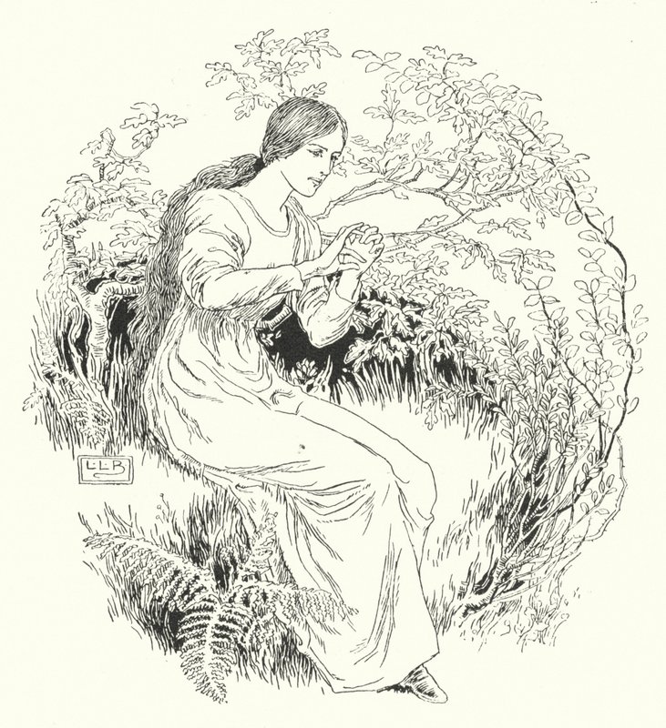 Fui à madeira e consegui-a (gravura) de Leonard Leslie Brooke