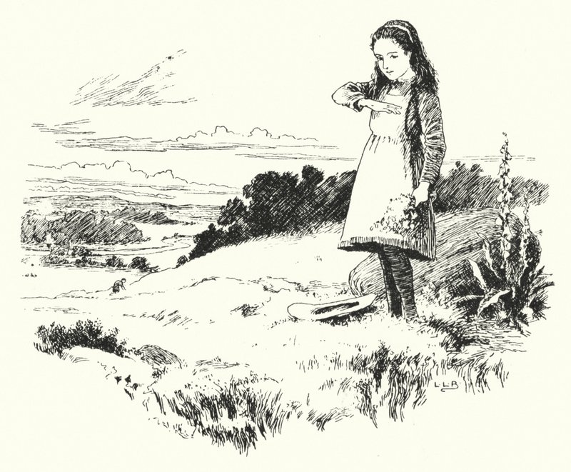 Lady bird, lady bird, voar para casa (gravura) de Leonard Leslie Brooke