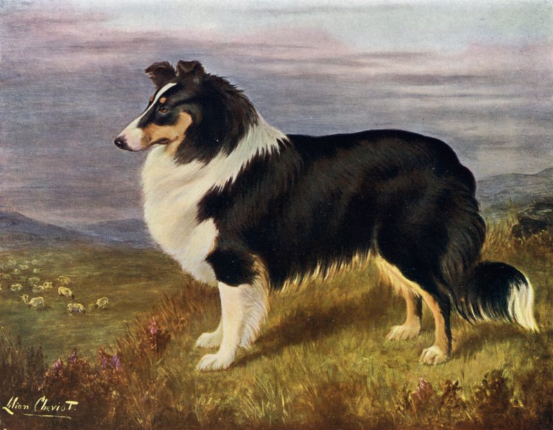 O reverendo Hans F Hamilton "s Wcodmansterne Derek de Lilian Cheviot