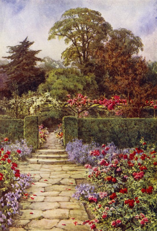 The Rose Walk (cor litho) de Lilian Stannard