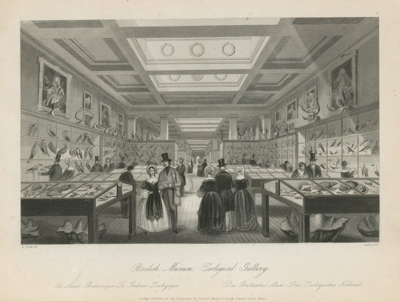Sala de zoológico no Museu Britânico de Llewellyn Jewitt