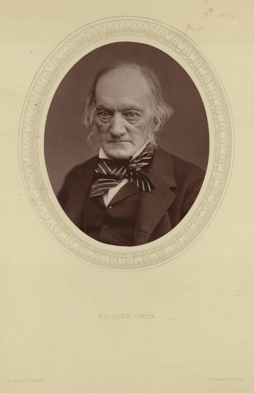 Retrato de Sir Richard Owen de Lock and Whitfield